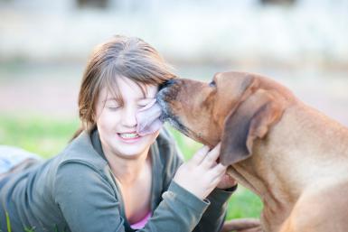 Why Do Dogs Lick People