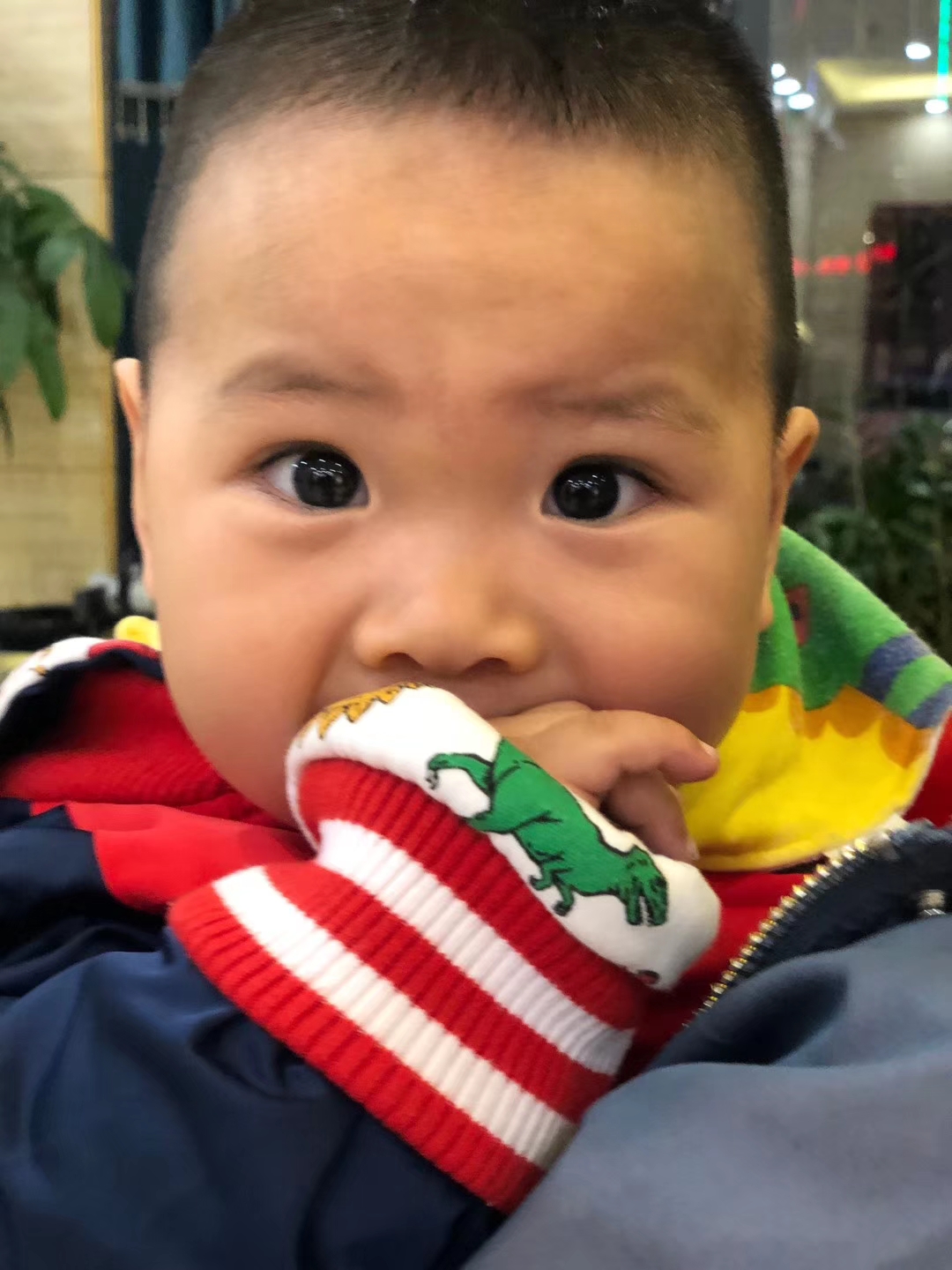 朱琳——王一同