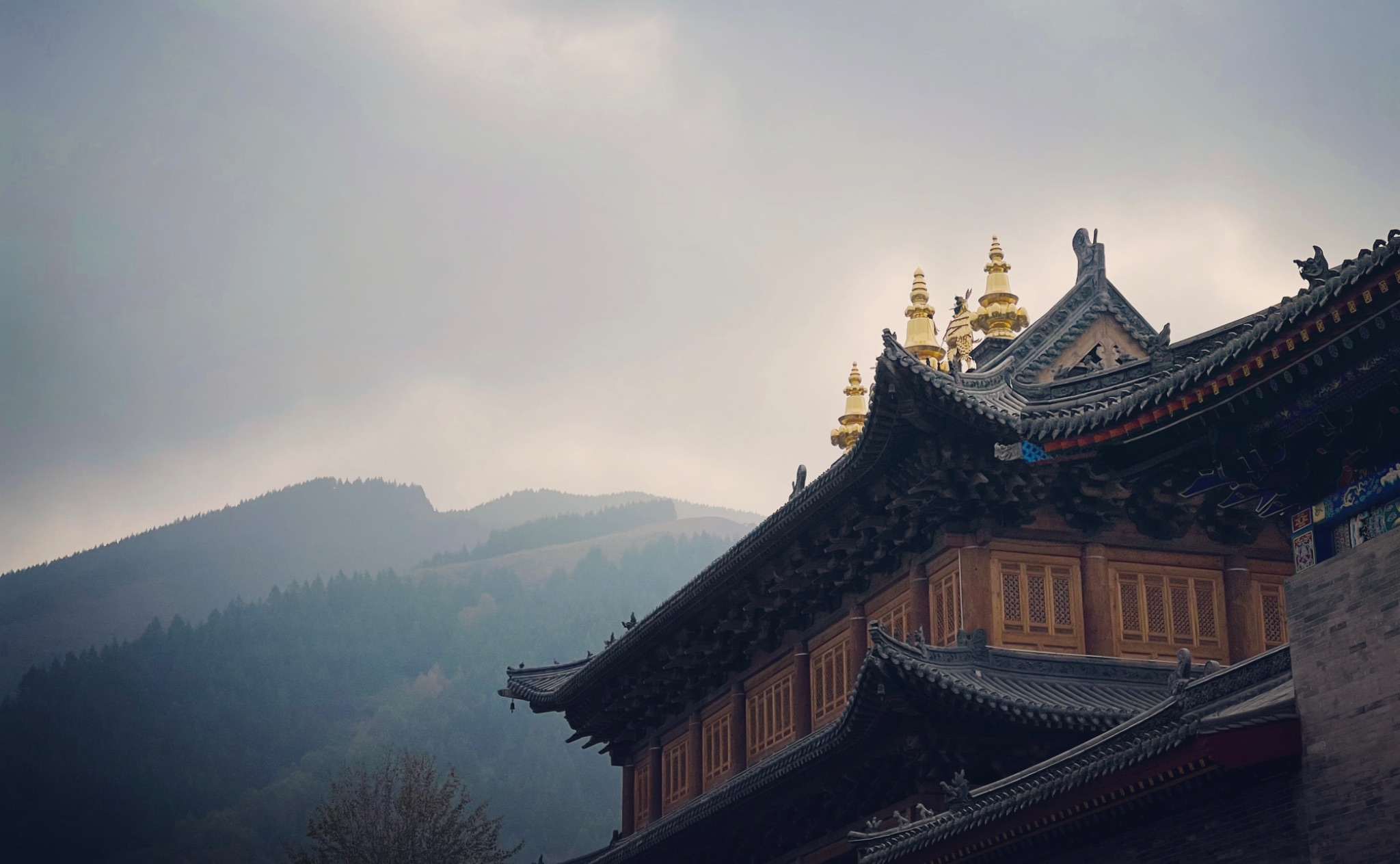 程王贝–卫奕辰
