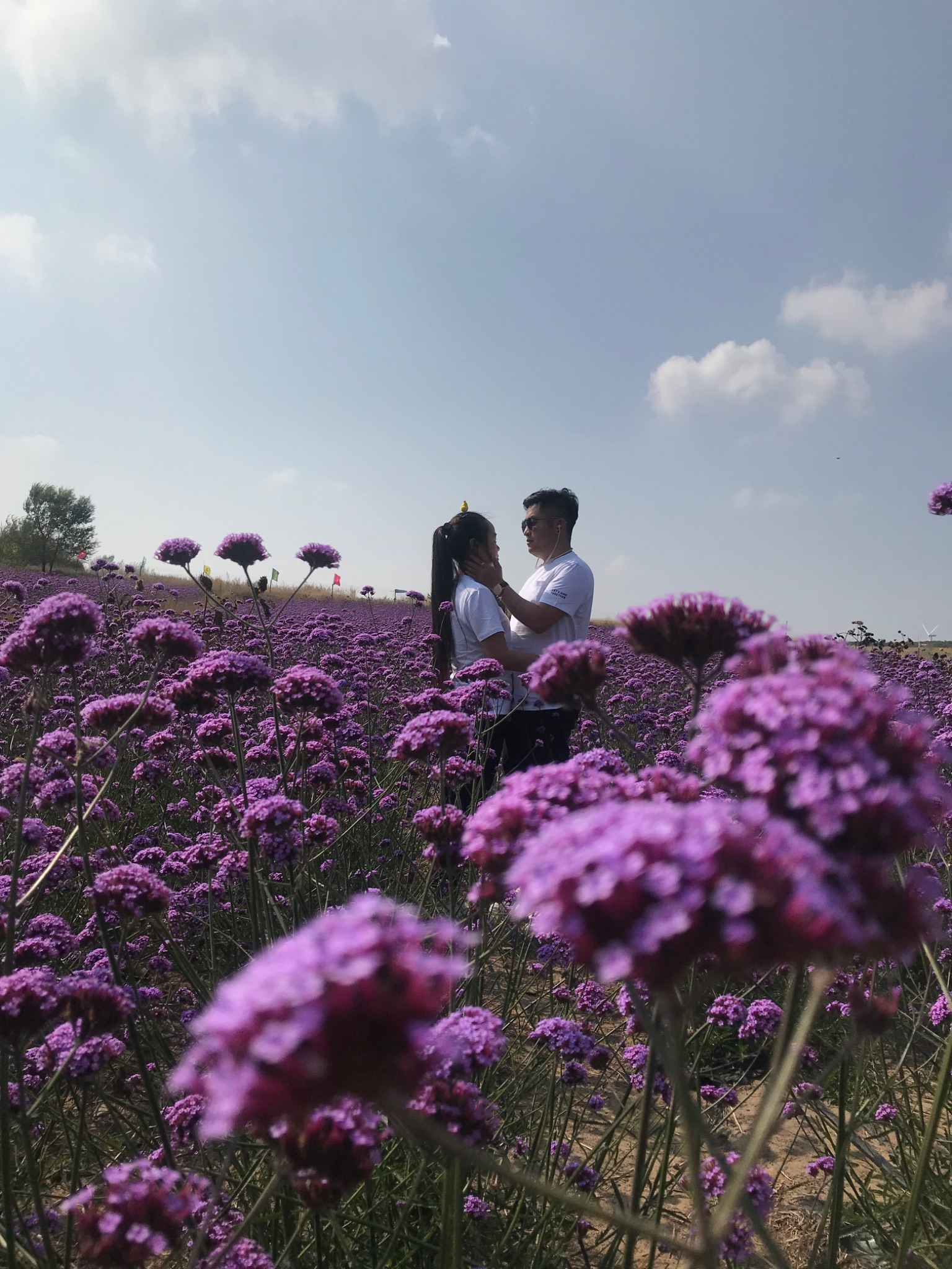 赵显伟～张晓巍