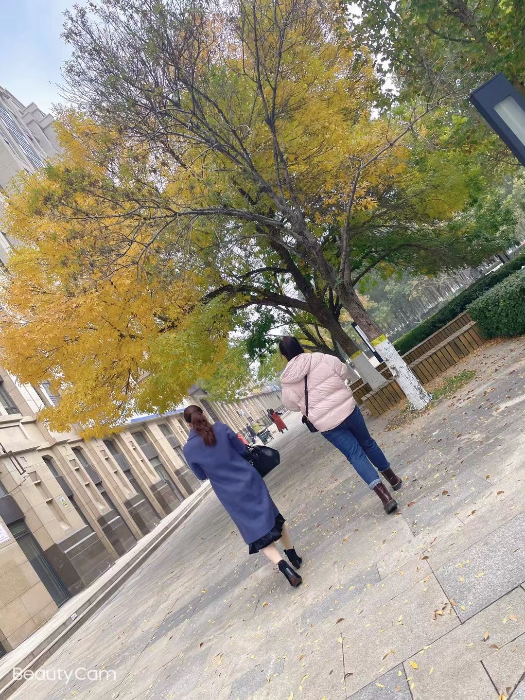 刘延美——程花