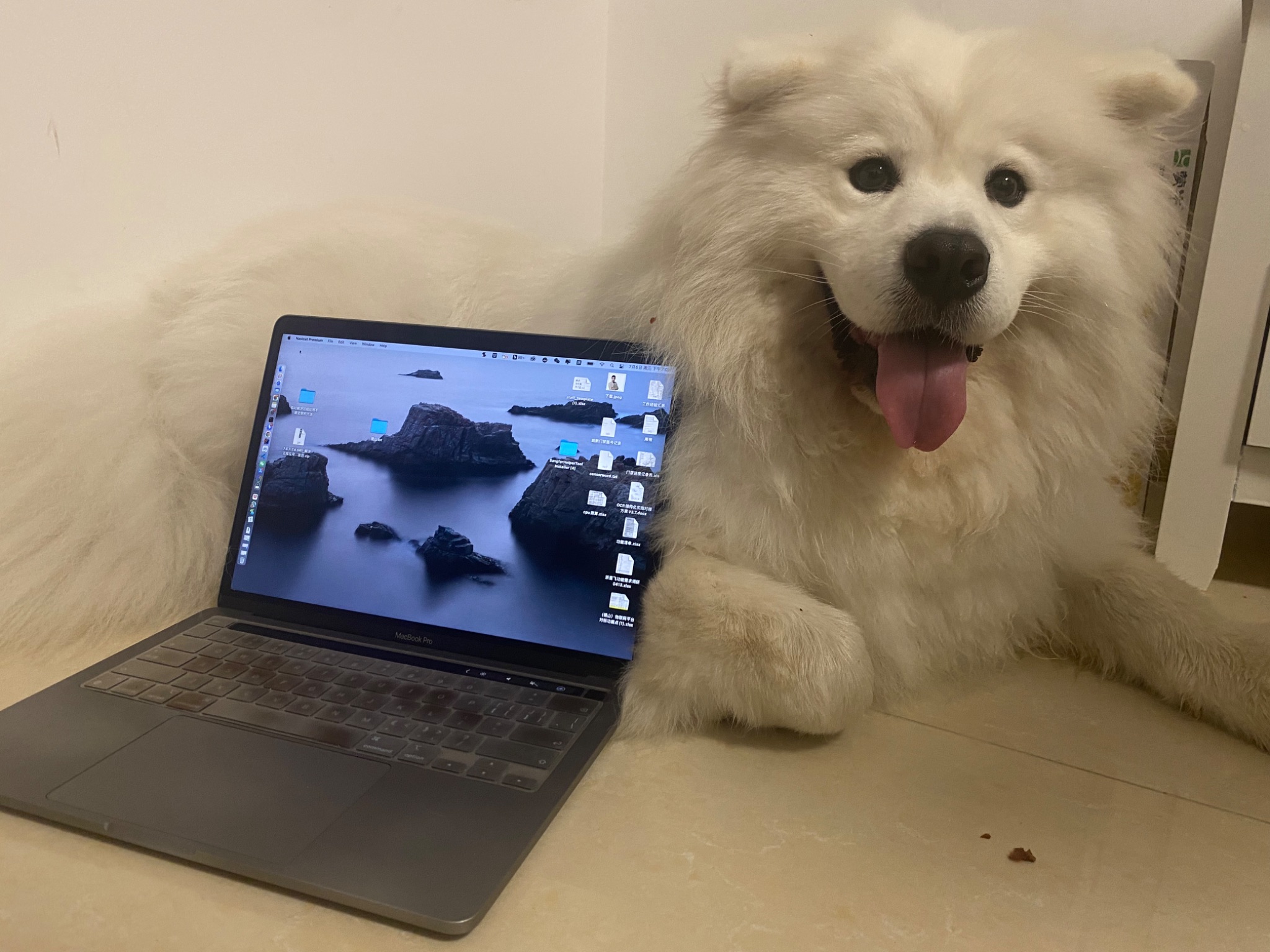 为自己的小肉干出份力