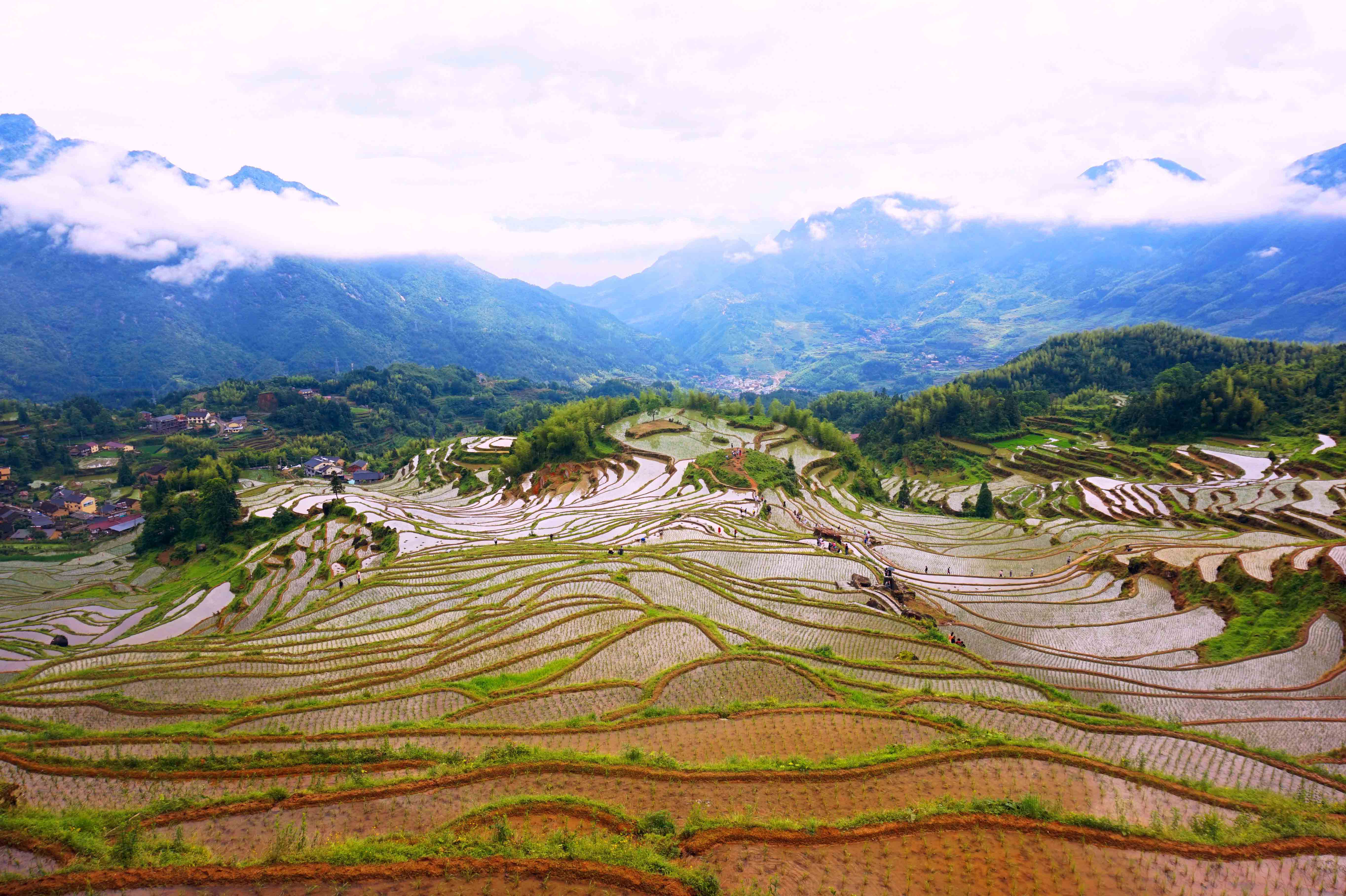云和梯田
