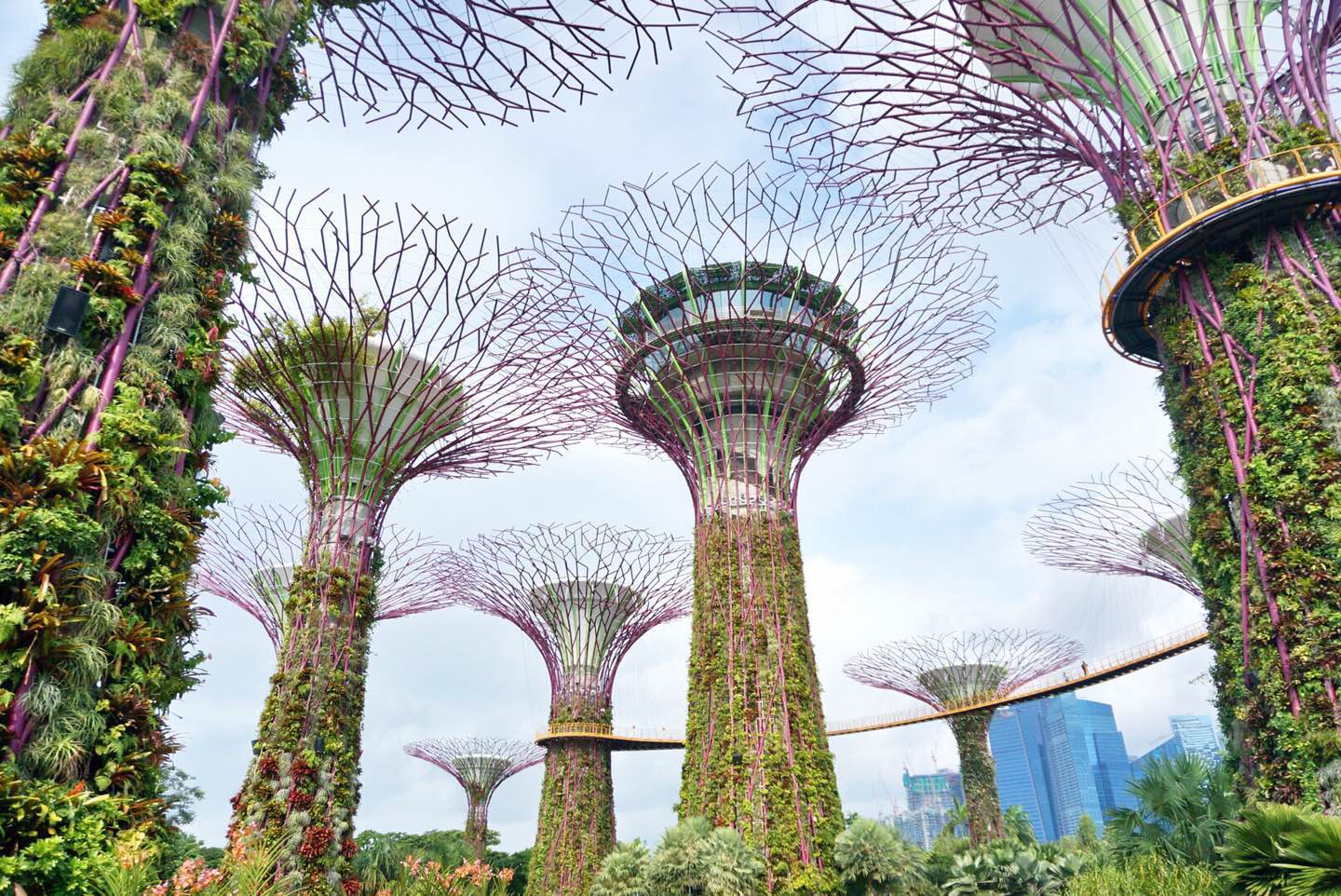 10,城市森林(新加坡)