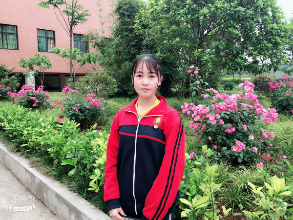 图片标题