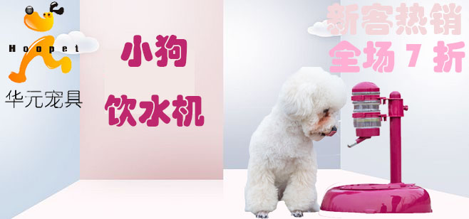 高婧