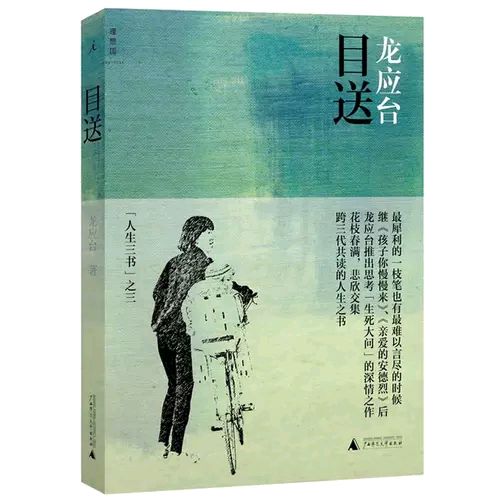 廖龙静《目送》 