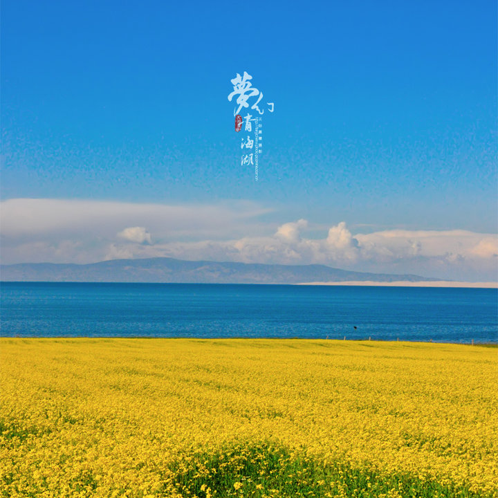 青海