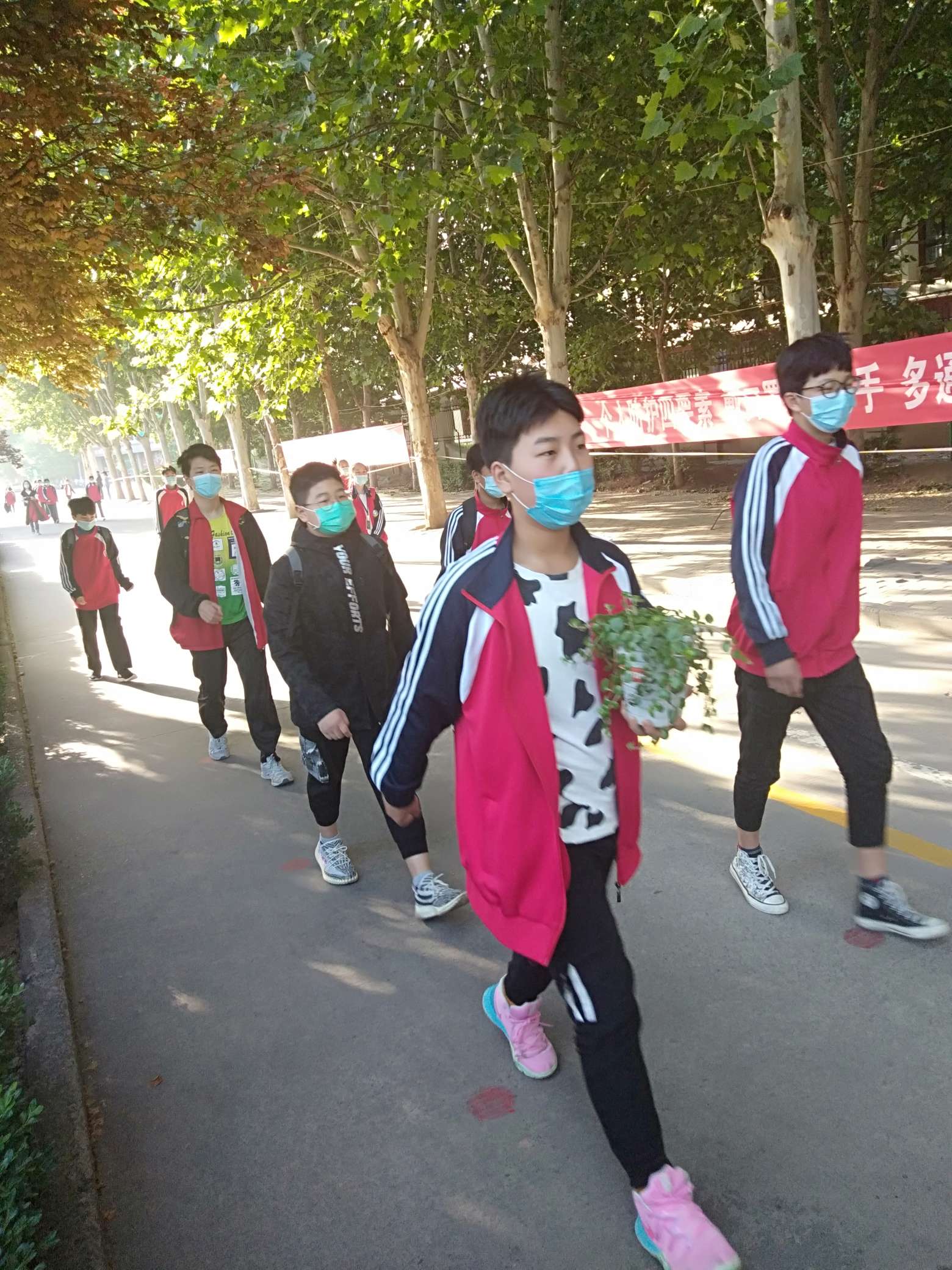 图片标题