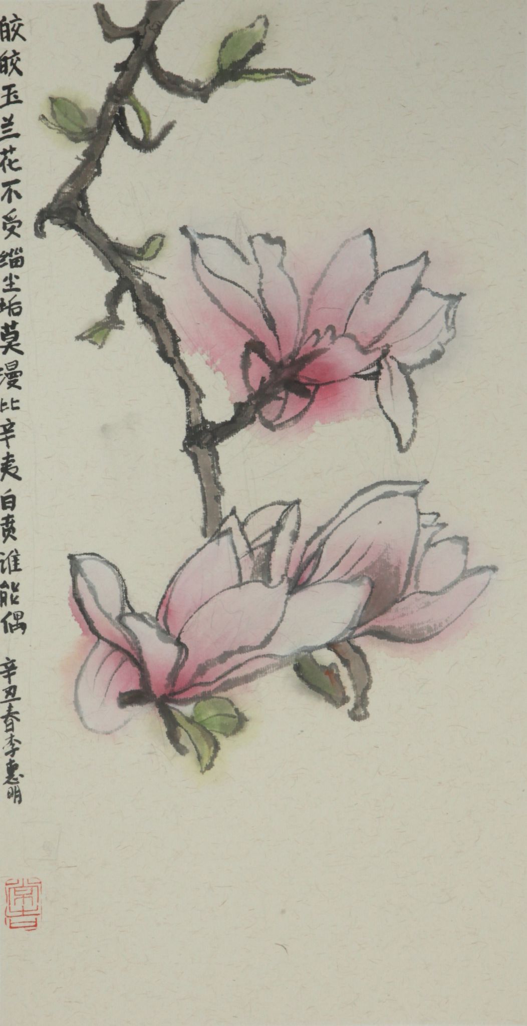 作者李惠明玉兰花