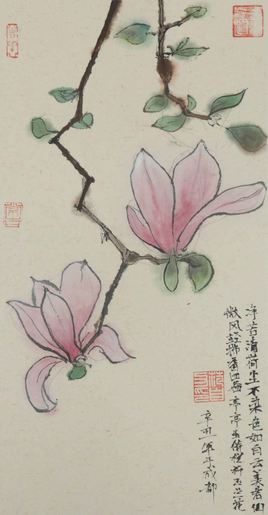 作者：范自力，玉兰花