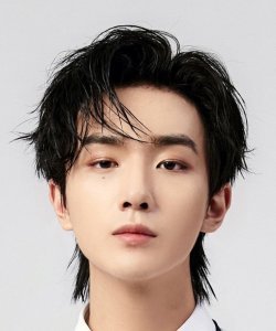 Li Hong Yi 李宏毅