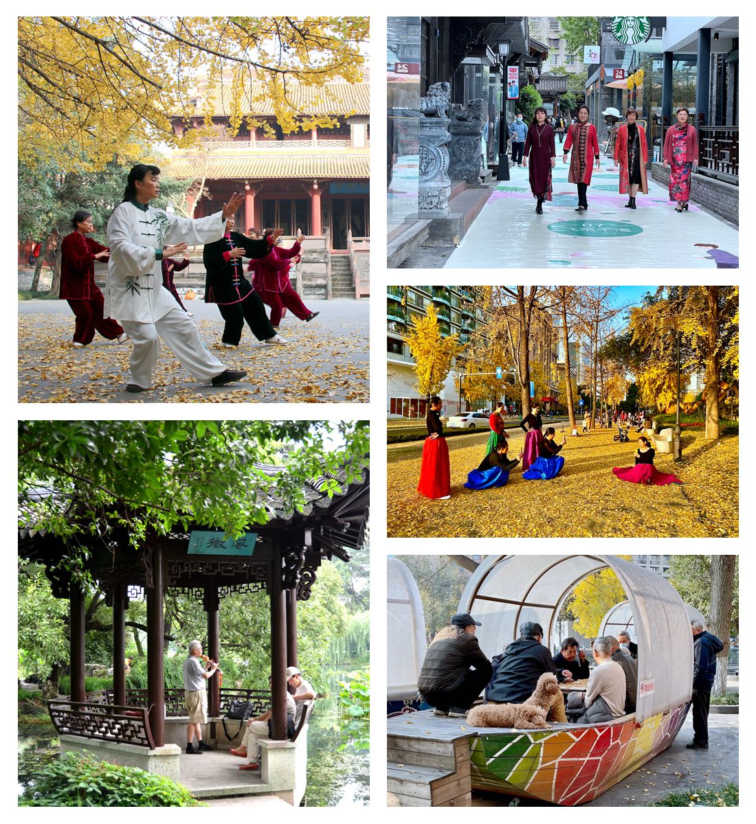 人物摄影类06-《快乐的退休生活》