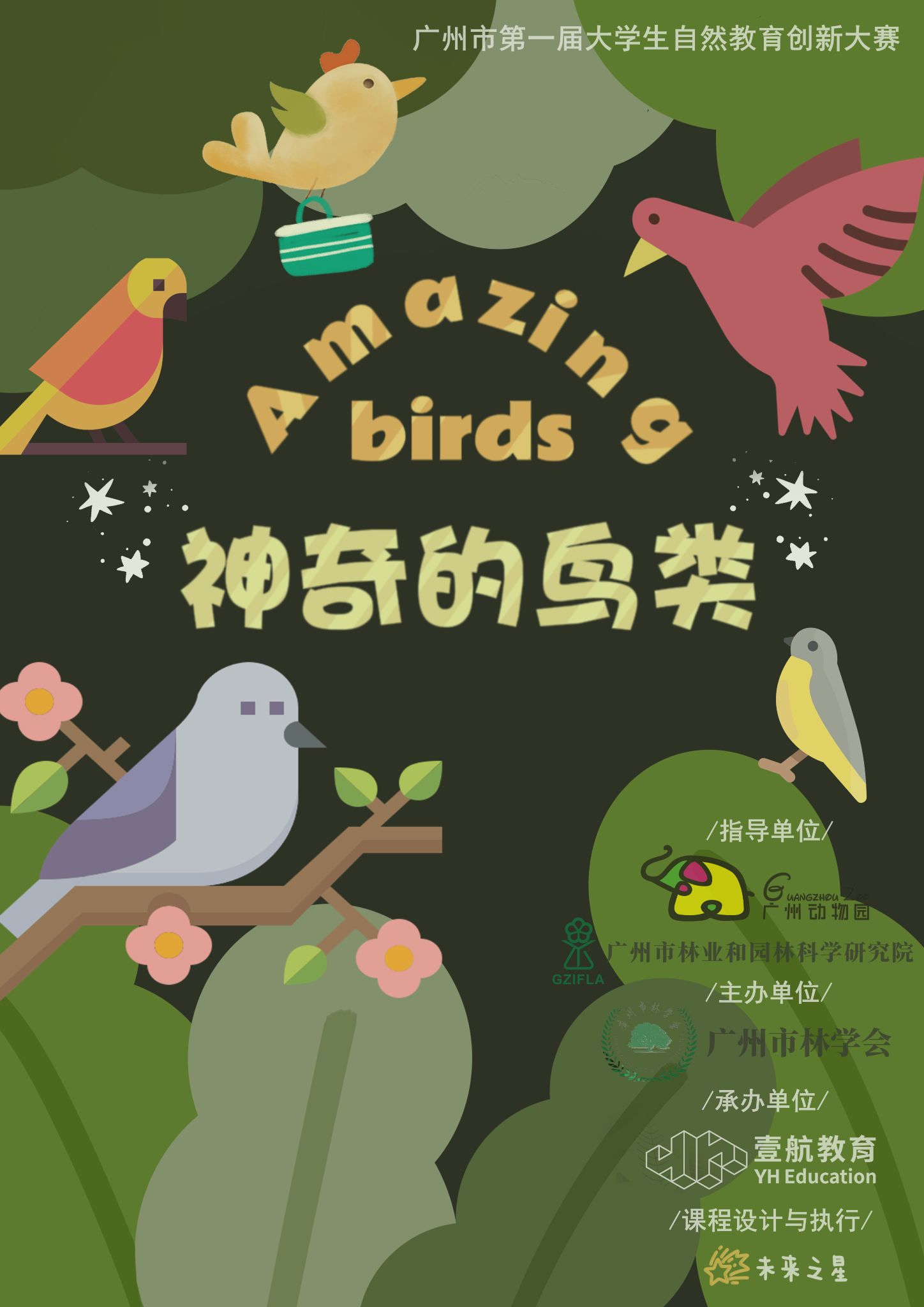 神奇的鸟类