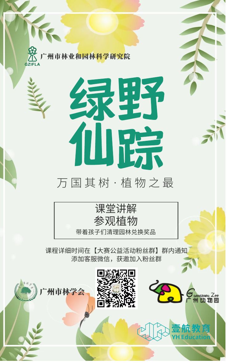 绿野仙踪