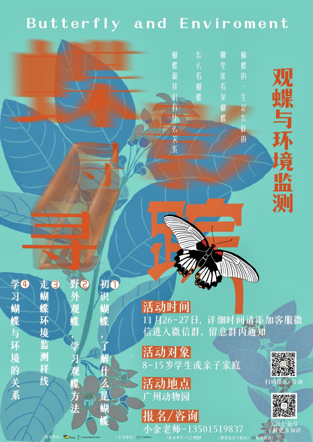 蝶影寻踪