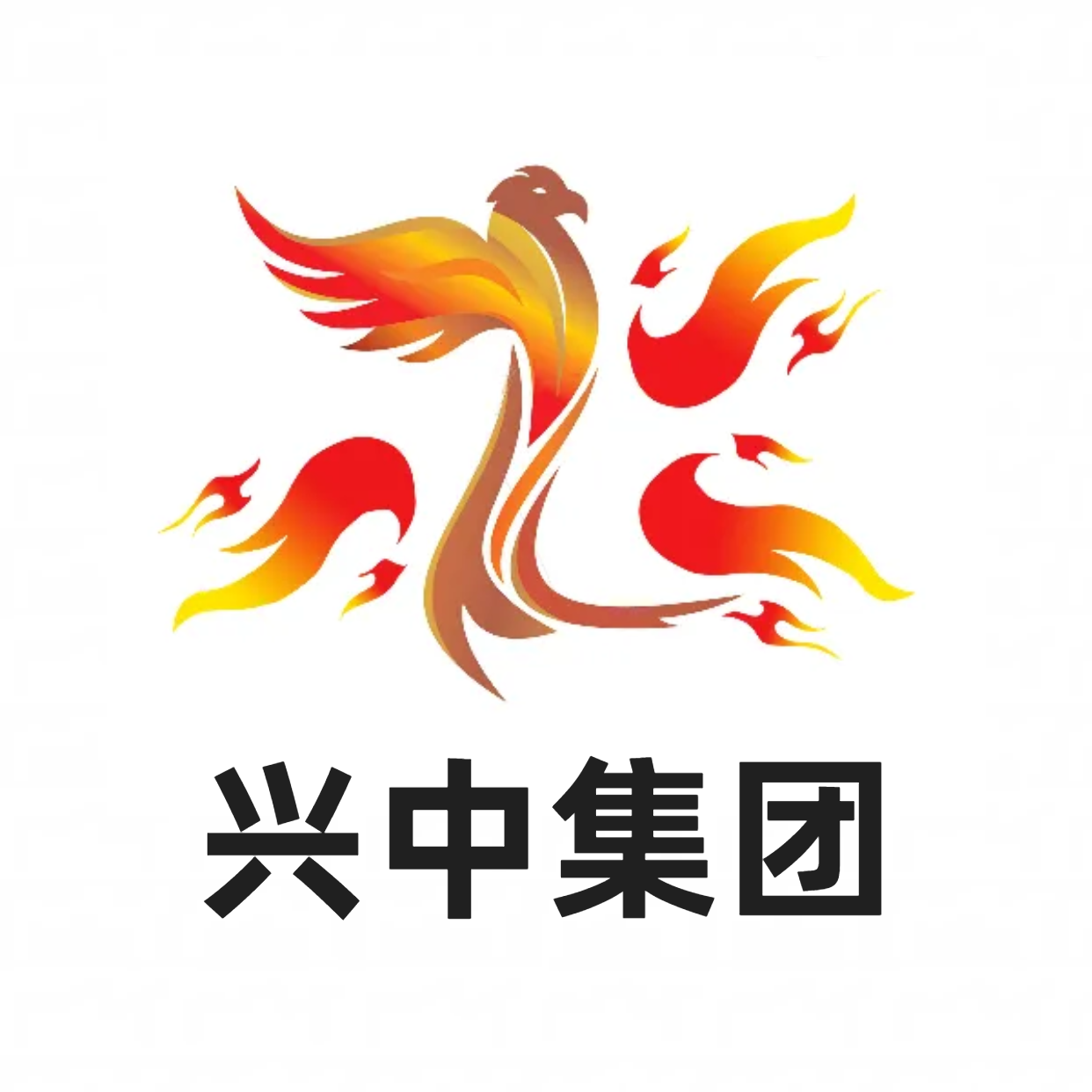 浴火重生：再造一个新兴中