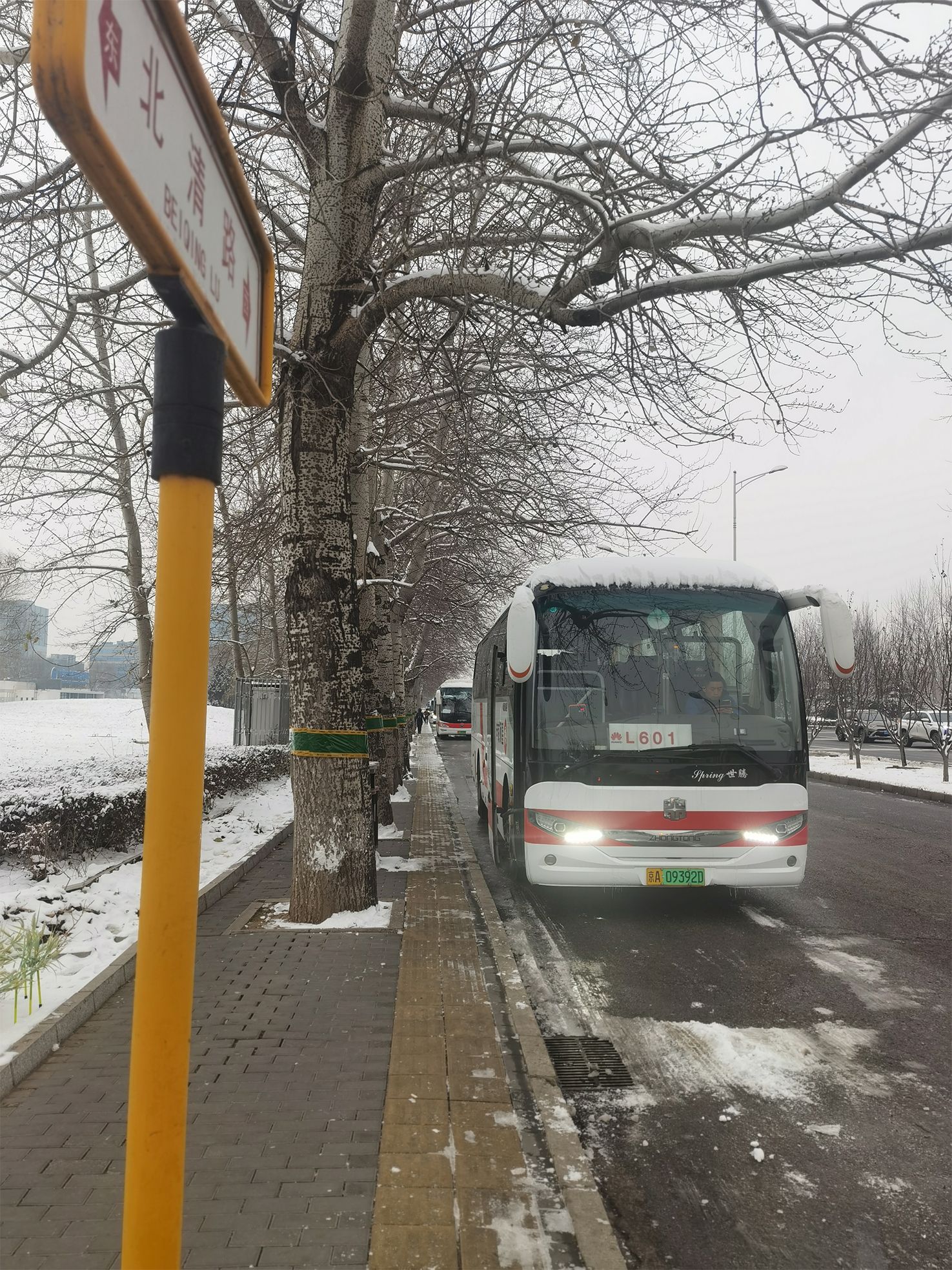 26 《雪中守候》