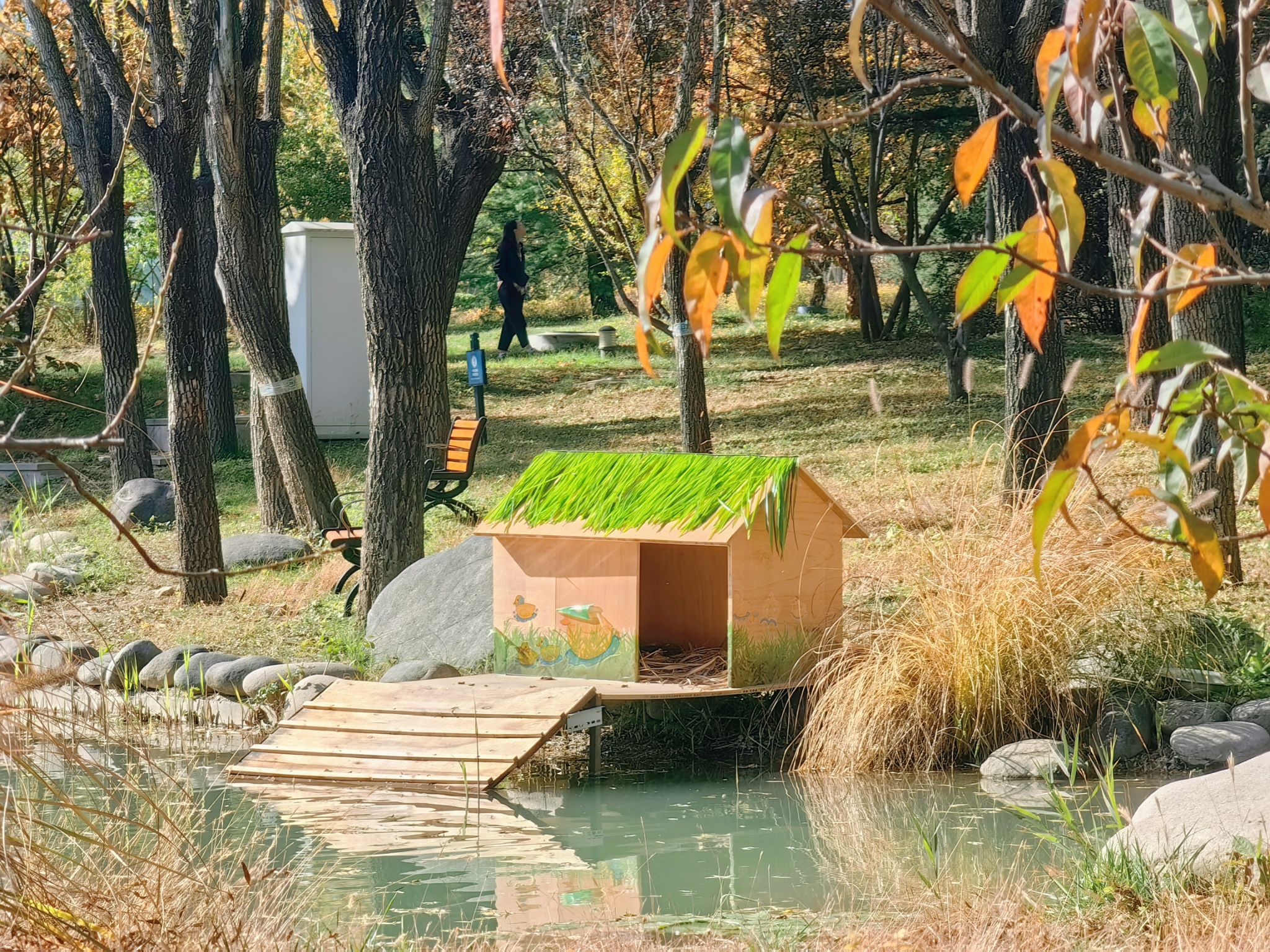 36 《鸭鸭美丽小窝》