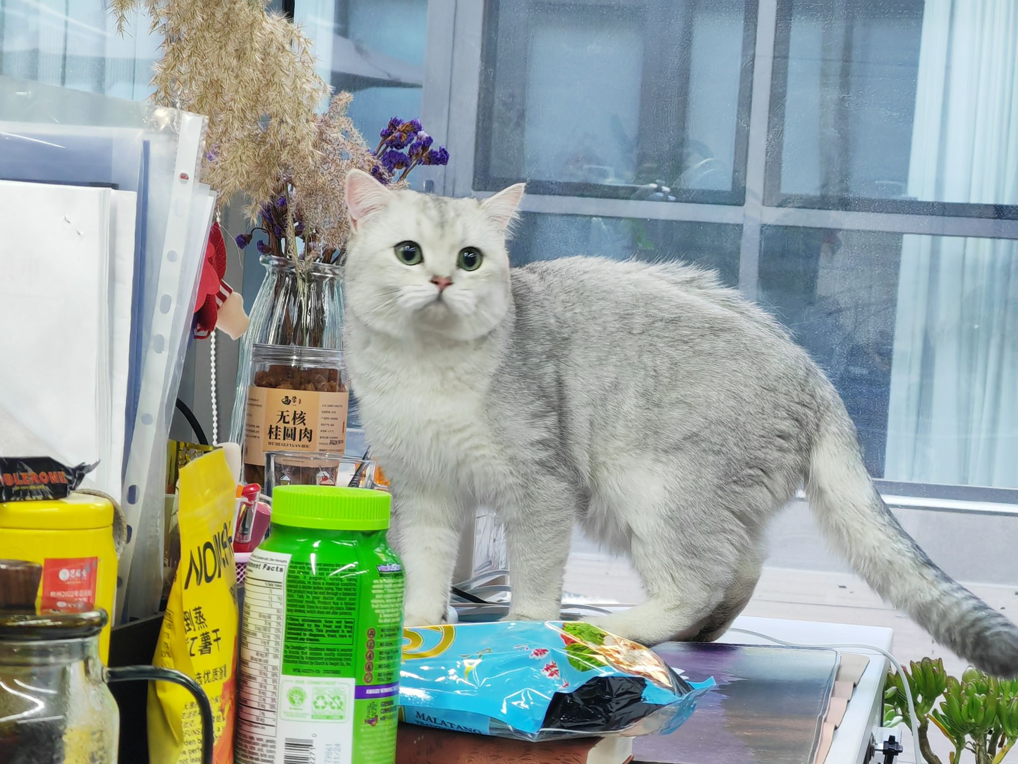 28 《我的名字叫来钱》