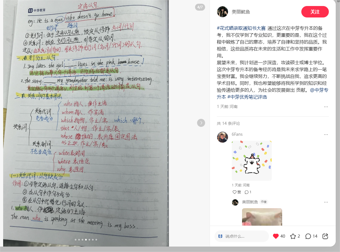 美丽鱿鱼