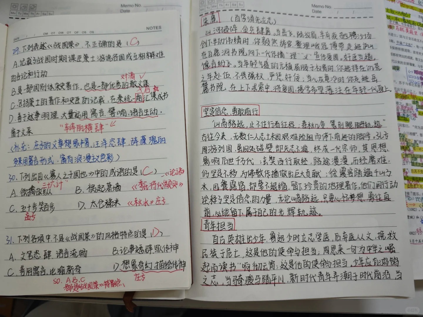 小土豆！